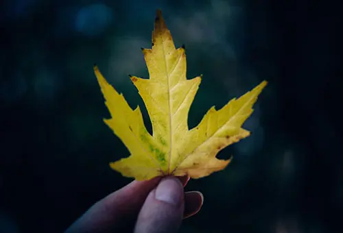 Сексуальные преступления